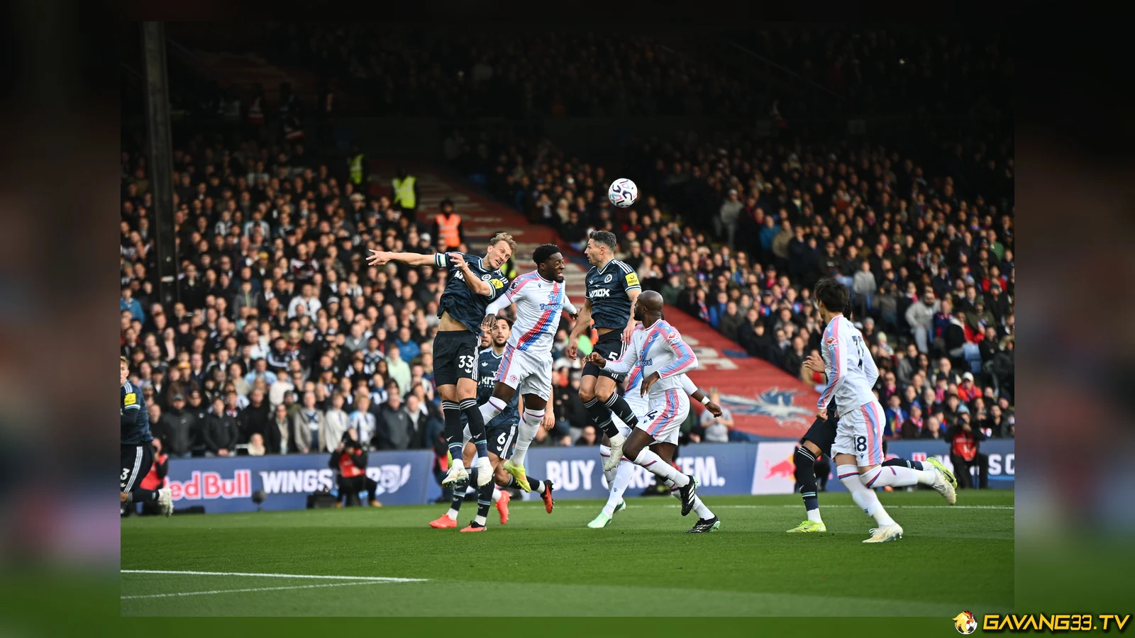 Crystal Palace thi đấu trước Newcastle tại Selhurst Park trong ảnh tư liệu trước trận